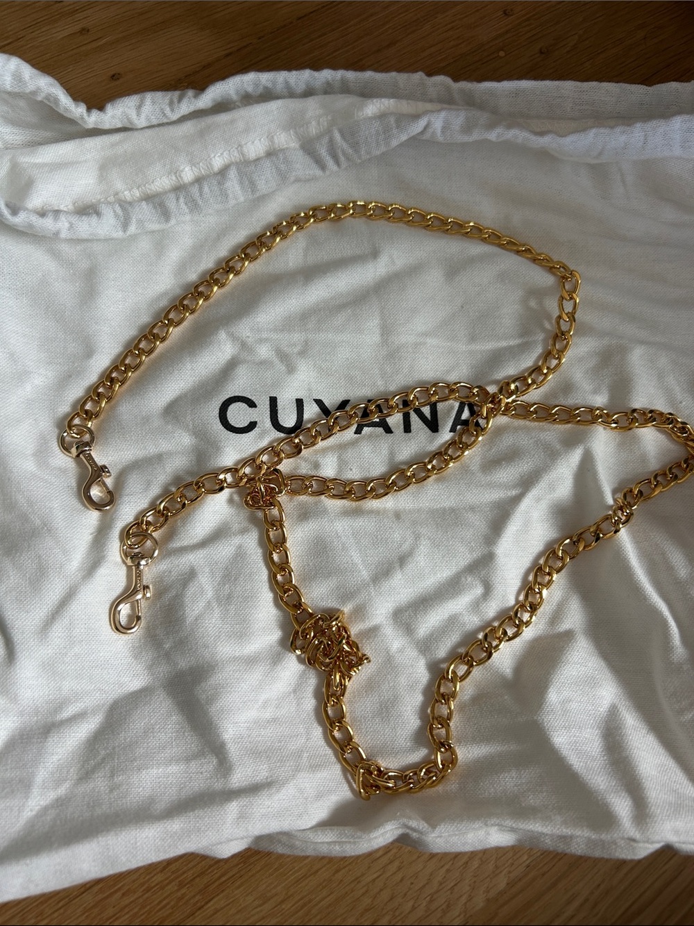 Cuyana bag chain